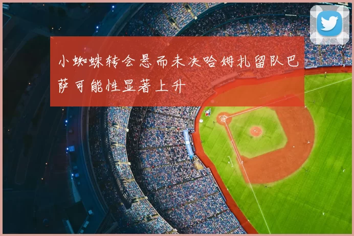 小蜘蛛转会悬而未决哈姆扎留队巴萨可能性显著上升