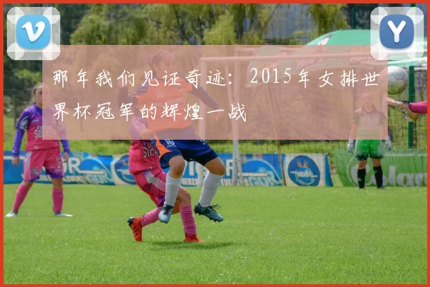 那年我们见证奇迹:2015年女排世界杯冠军的辉煌一战