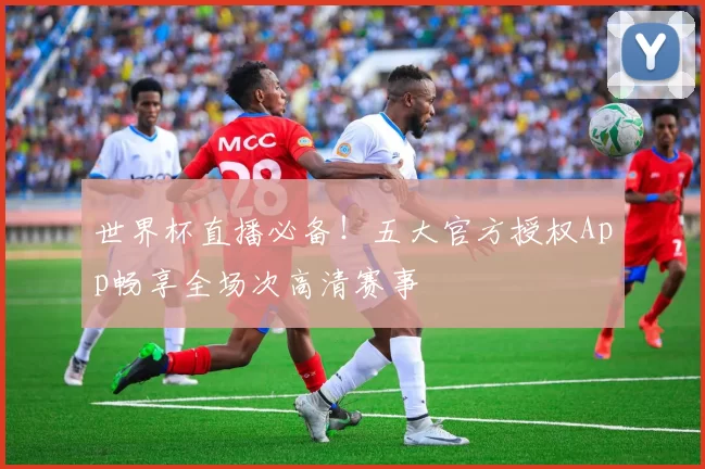 世界杯直播必备!五大官方授权App畅享全场次高清赛事