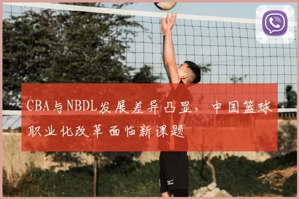 CBA与NBDL发展差异凸显,中国篮球职业化改革面临新课题
