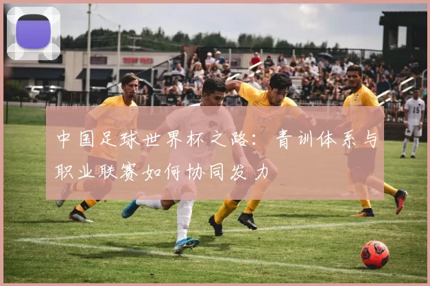 中国足球世界杯之路:青训体系与职业联赛如何协同发力