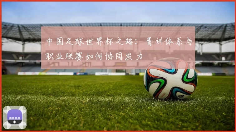 中国足球世界杯之路：青训体系与职业联赛如何协同发力