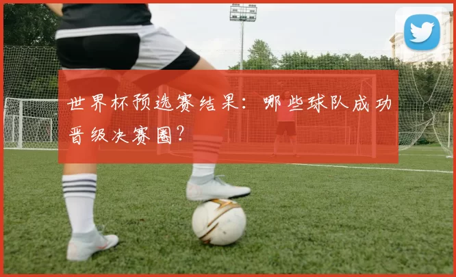 世界杯预选赛结果:哪些球队成功晋级决赛圈?