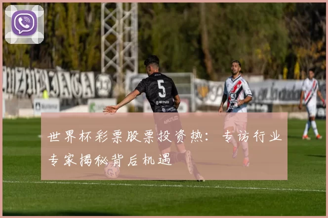 世界杯彩票股票投资热:专访行业专家揭秘背后机遇