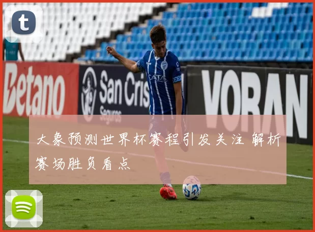 大象预测世界杯赛程引发关注 解析赛场胜负看点
