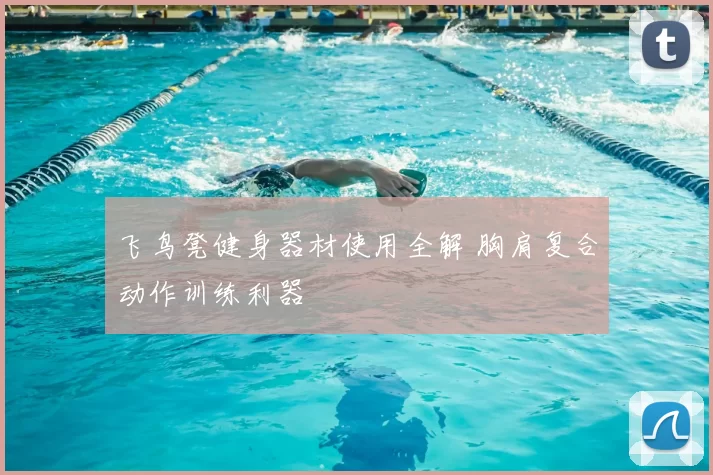 飞鸟凳健身器材使用全解 胸肩复合动作训练利器