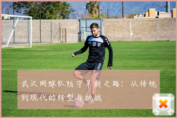 武汉网球队防守革新之路:从传统到现代的转型与挑战