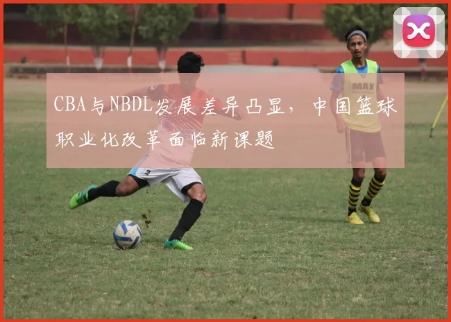 CBA与NBDL发展差异凸显,中国篮球职业化改革面临新课题