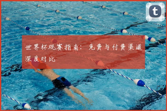 世界杯观赛指南:免费与付费渠道深度对比