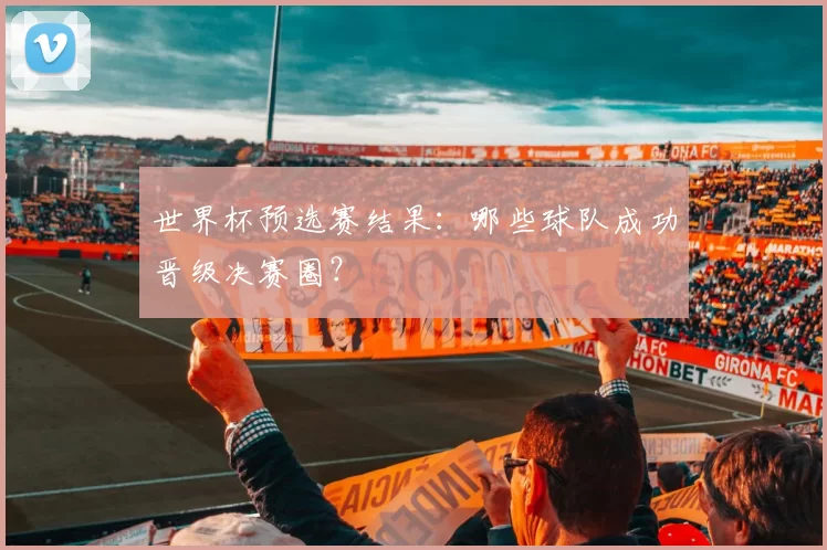 世界杯预选赛结果:哪些球队成功晋级决赛圈?